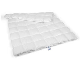 Duvet 2-Saison – Schweizer Weidegans, 90% Daunen