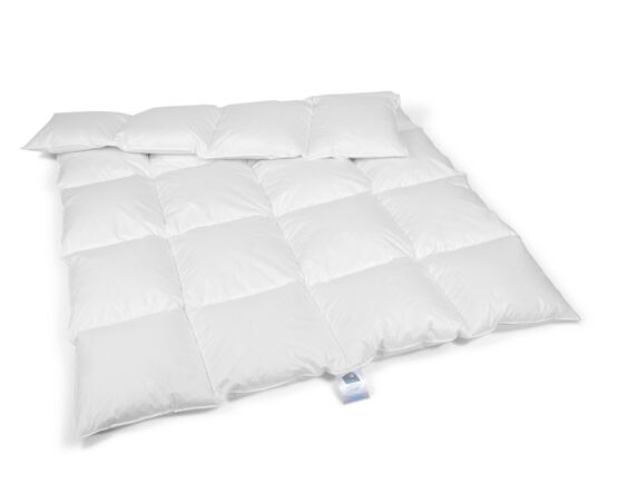 Duvet Winter – europäische Gänsedaunenn, 90% Daunen